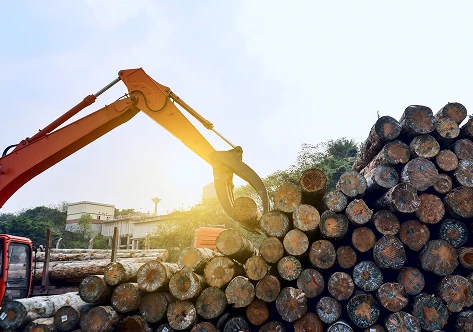 Transport de bois