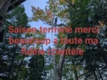 gallery_Patrick_Bertrand_04